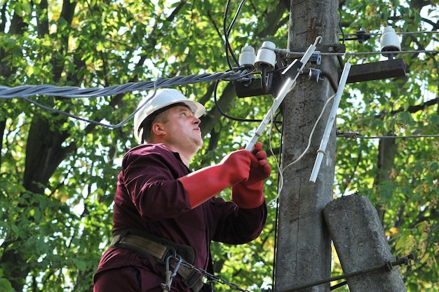 electrician checks presence voltage before repairing power line 271853 1309